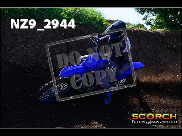 Experts-115