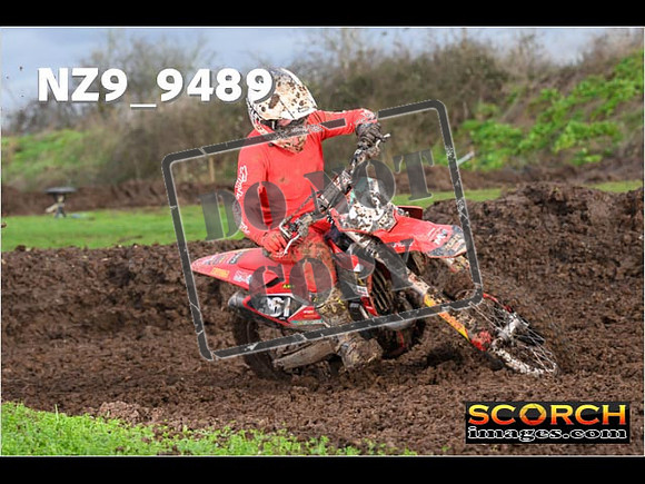 Experts-139