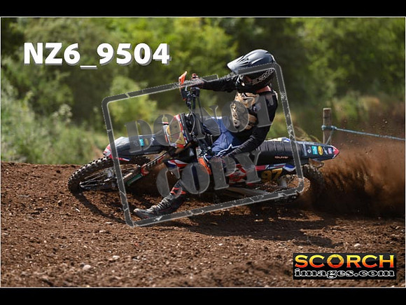 Experts-267