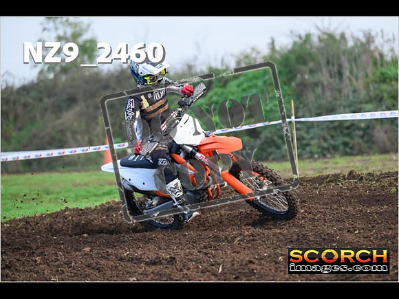 Experts-050