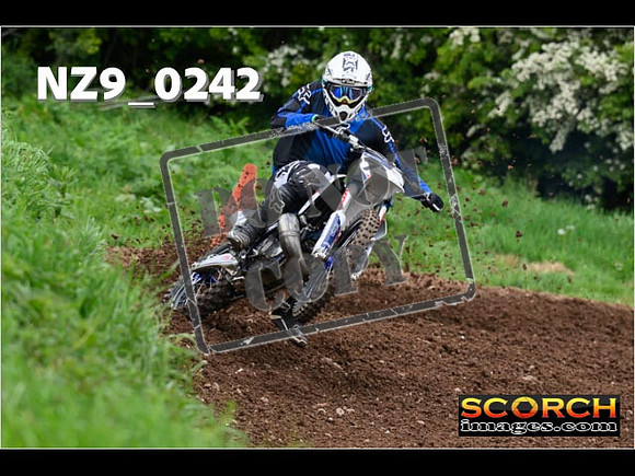 IntersGreen-192