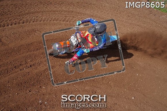 IMGP8605