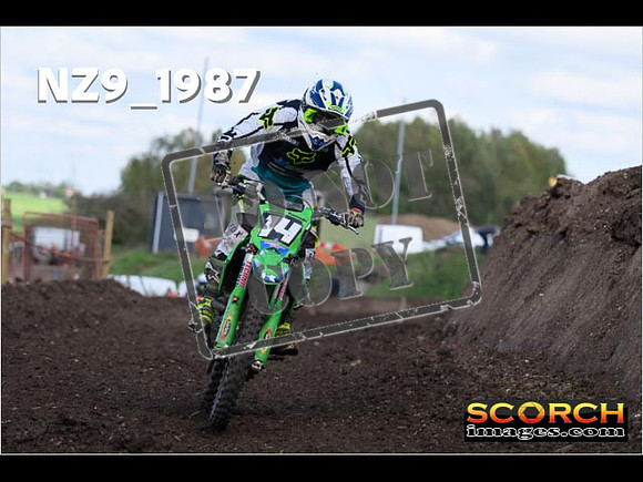 Experts-330