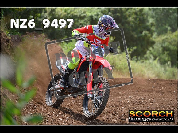Experts-261