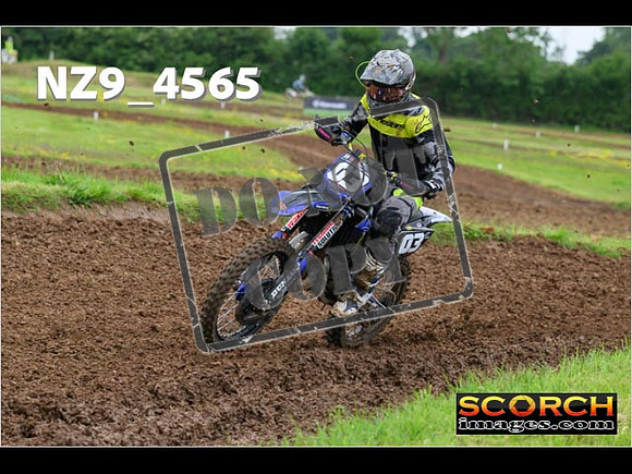 Experts-281