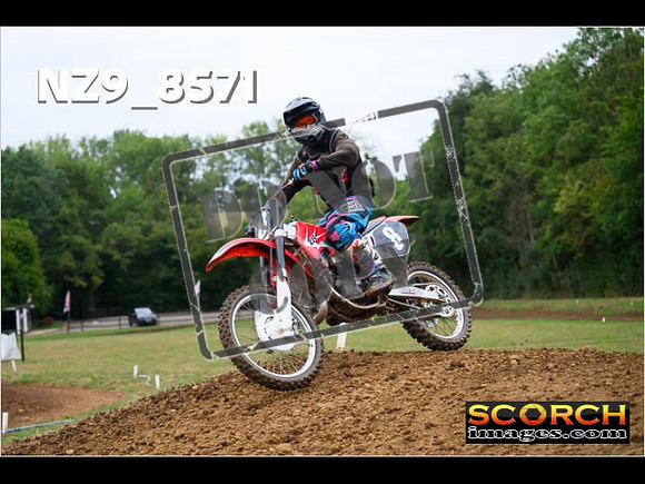 Experts-117