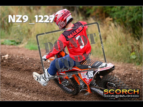 Experts-106