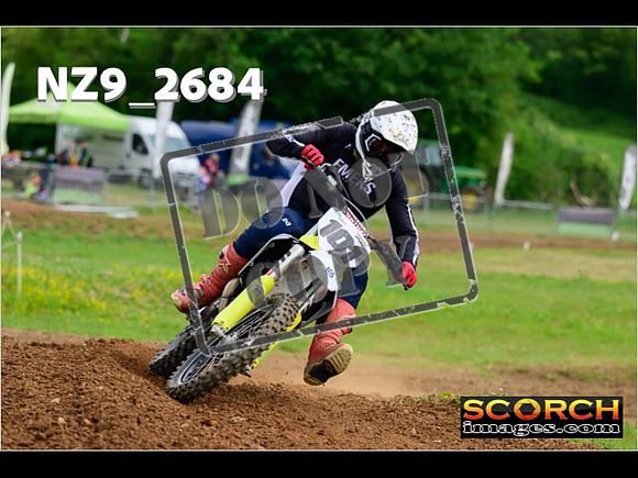 Novice-273