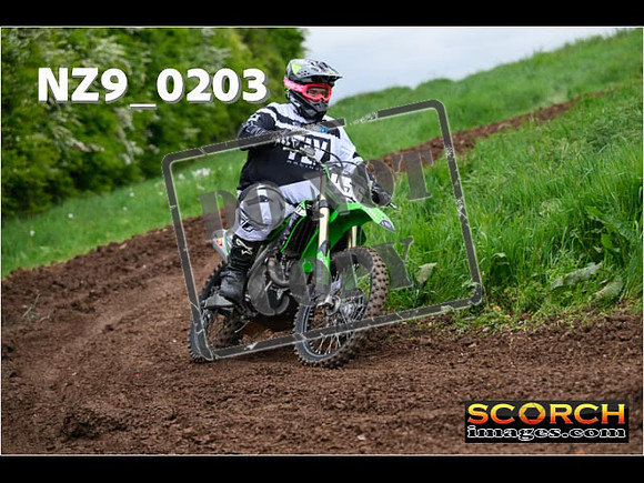 IntersGreen-154