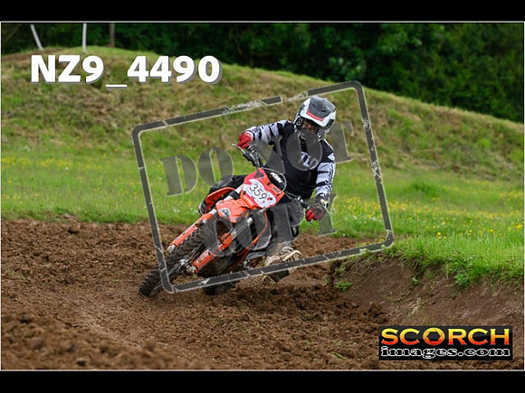 Experts-207