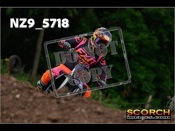 Experts-115