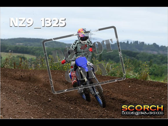 Inters Green-003