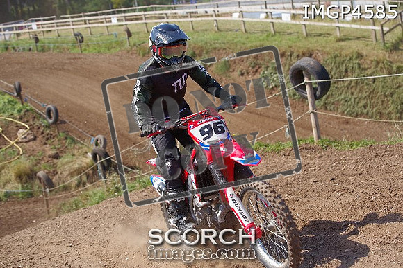 IMGP4585