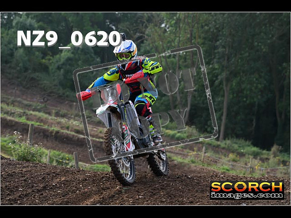 Intermediates-119