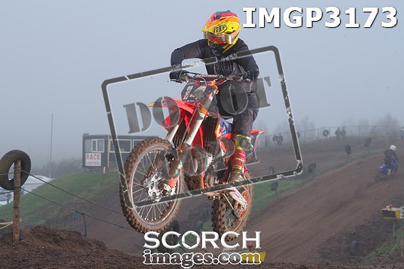 IMGP3173