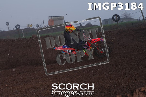 IMGP3184