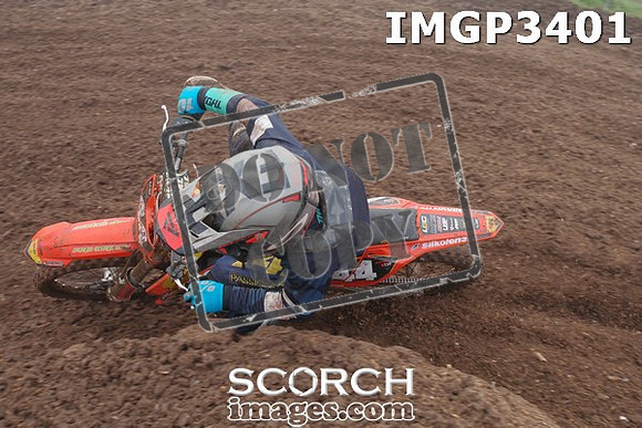 IMGP3401