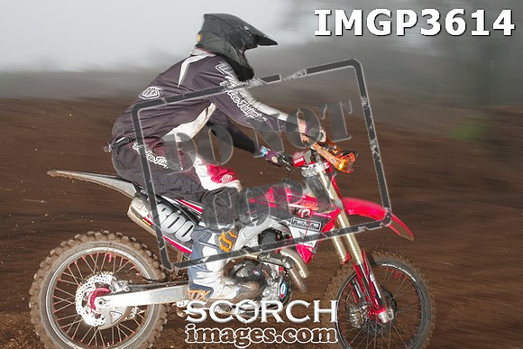 IMGP3614