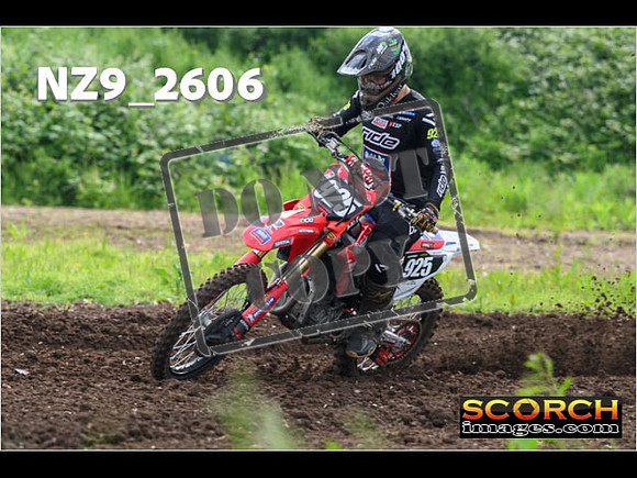 Experts-054