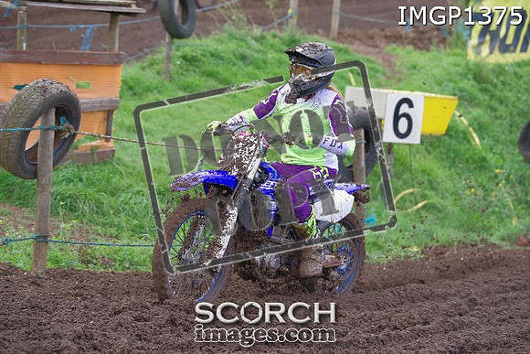 IMGP1375