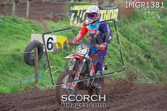 IMGP1381