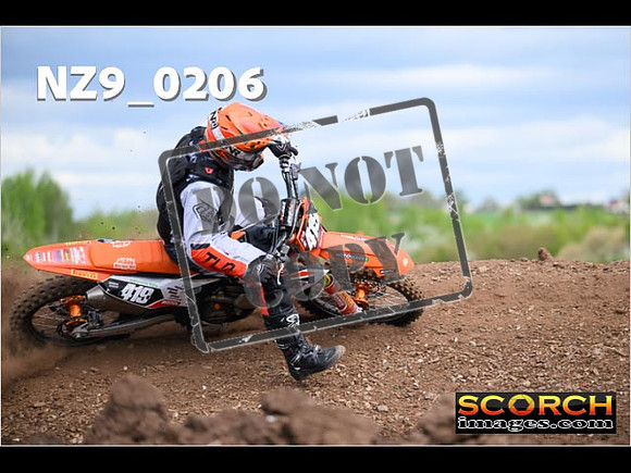 Experts-142
