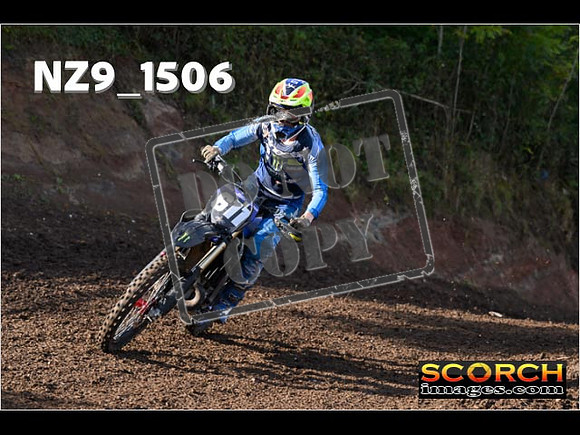 Experts-197