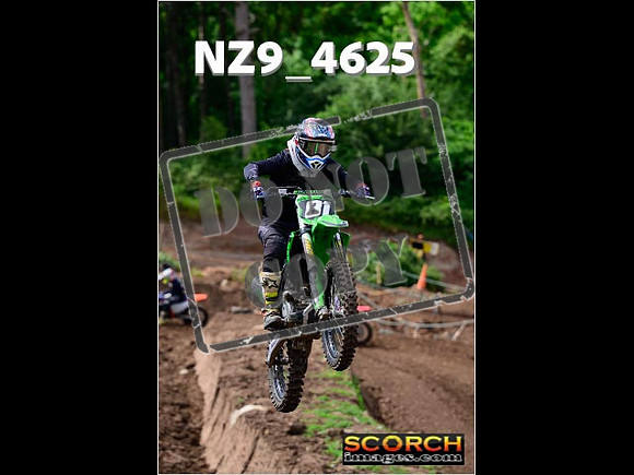 IntersGreen-066