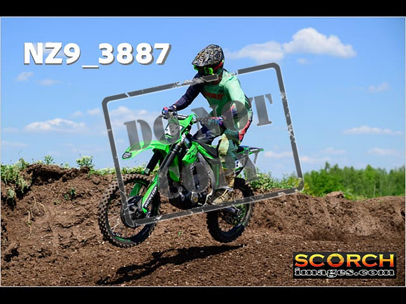 InterGreen-172