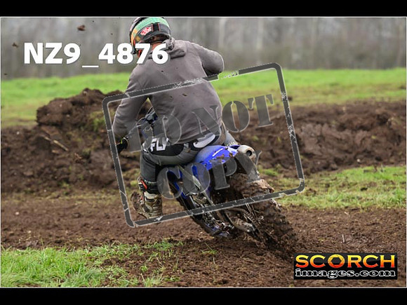 Experts-351