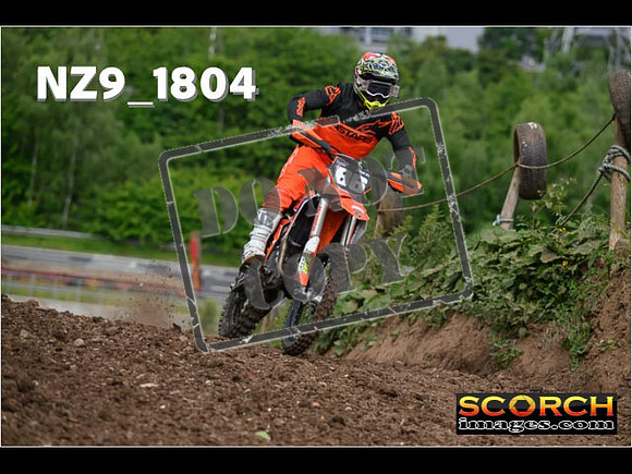 Experts-028