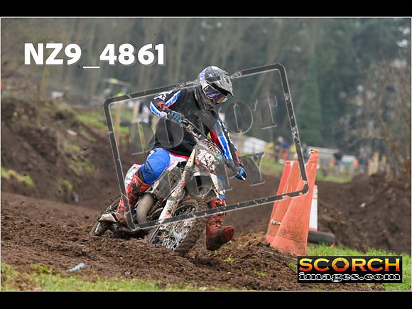 Experts-337