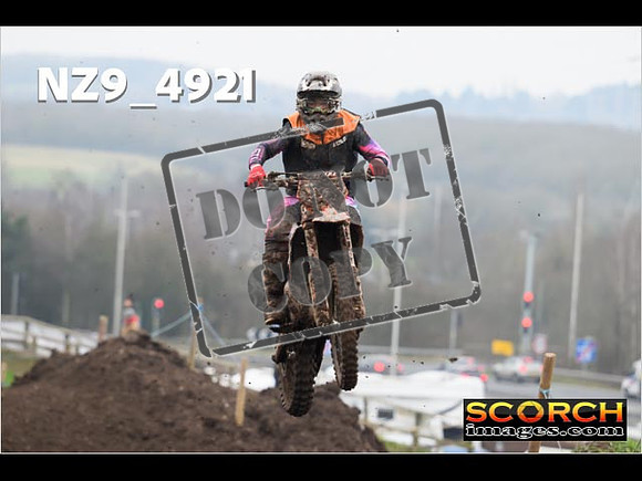 Experts-391