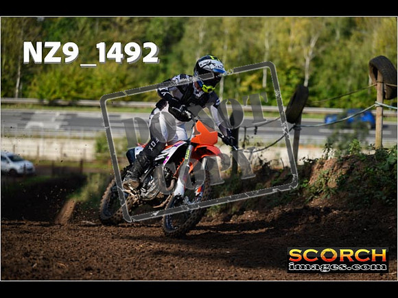 Experts-184