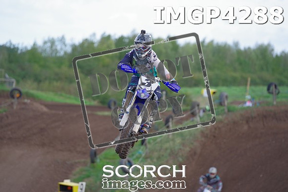 IMGP4288