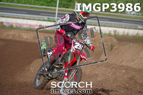 IMGP3986