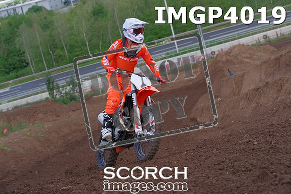 IMGP4019