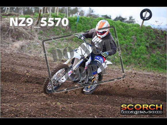 Experts-078