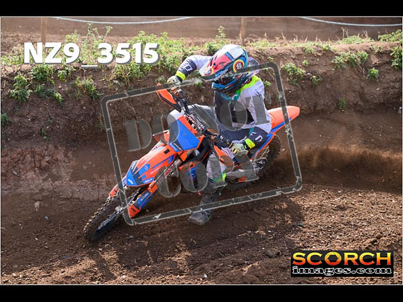 Experts-082