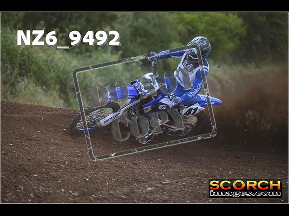 Experts-256