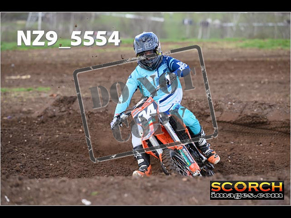 Experts-063