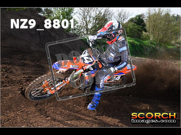Experts-046