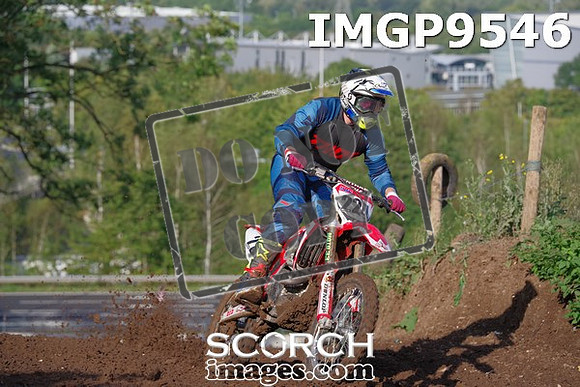 IMGP9546