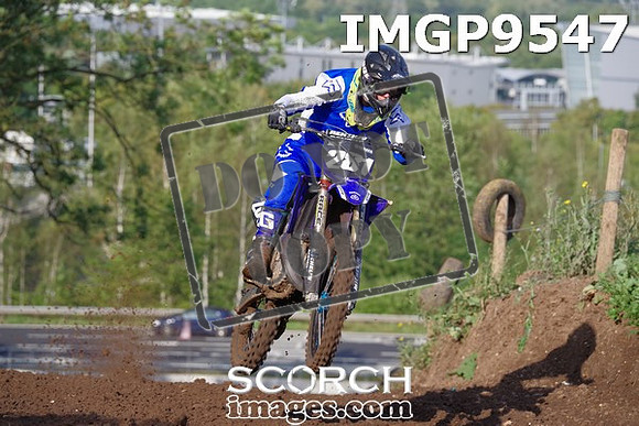 IMGP9547