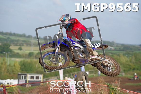 IMGP9565