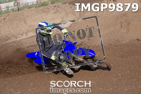 IMGP9879
