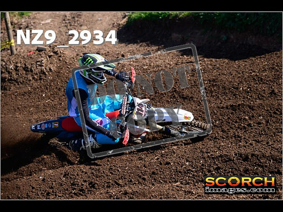 Experts-106