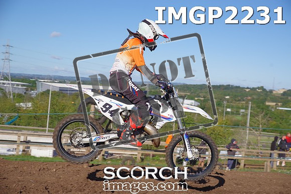 IMGP2231