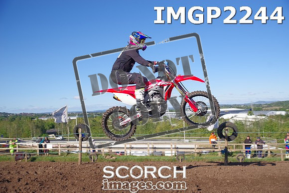 IMGP2244