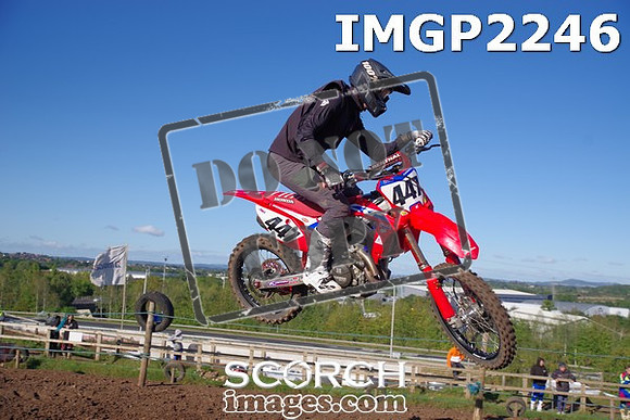 IMGP2246
